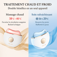 Masseur Electrique Visage EMS et LED