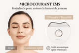 Masseur Electrique Visage EMS et LED